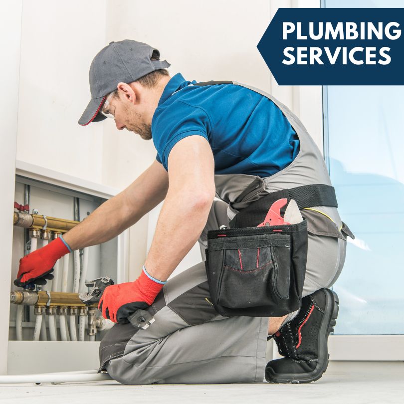 Cedar Springs Plumbing Company
